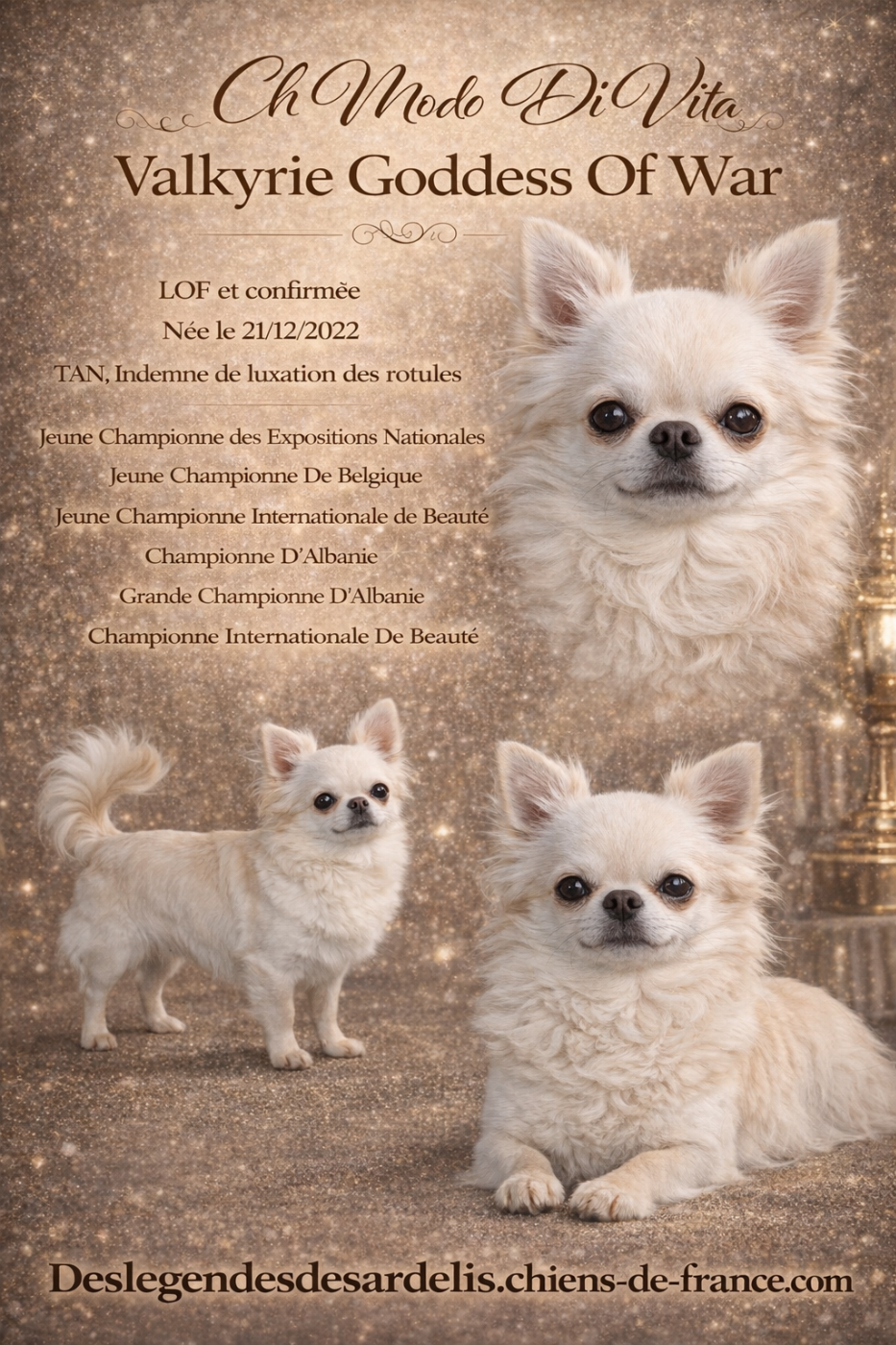 CH. modo di vita Valkyrie goddess of war