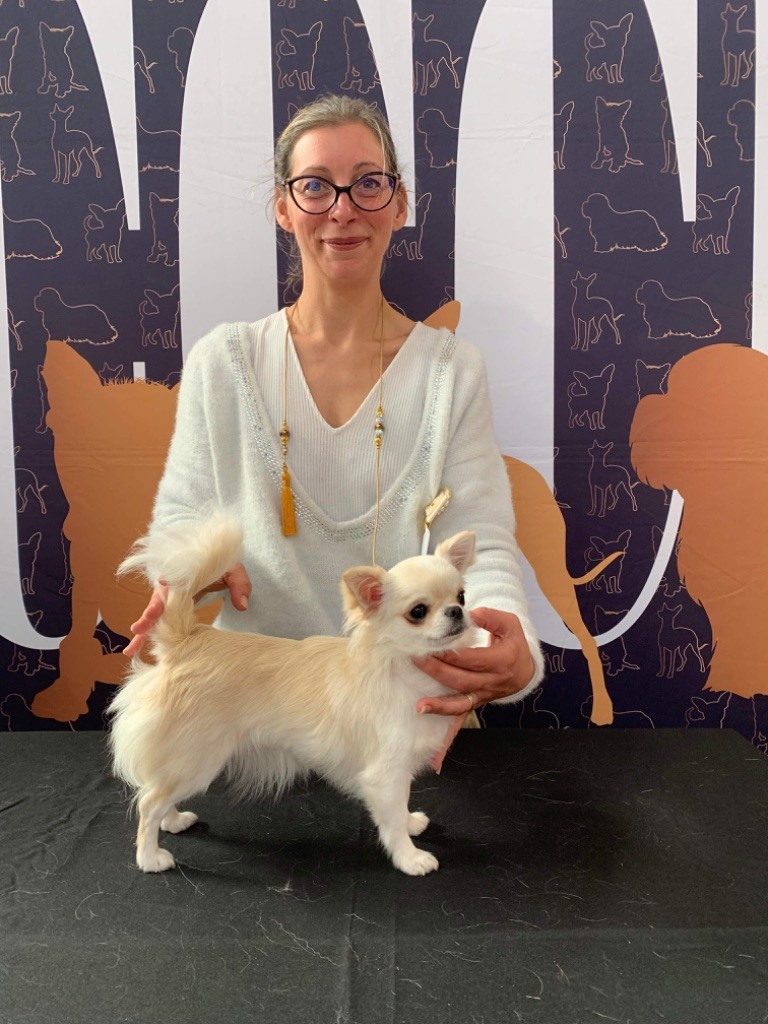 CH. modo di vita Valkyrie goddess of war