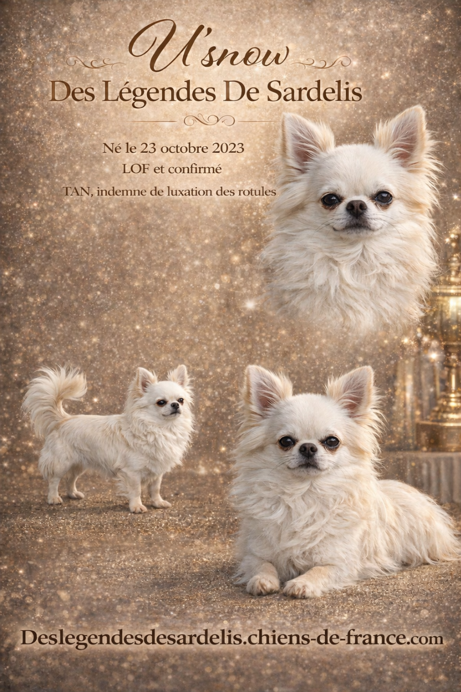 U'snow Des Légendes De Sardelis