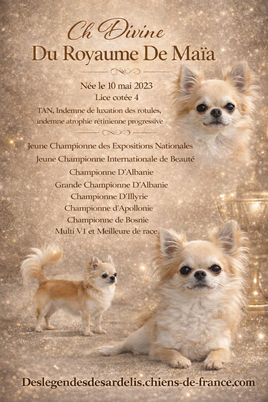 CH. Une pensée divine du Royaume de Maia