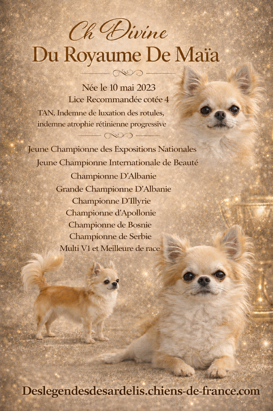 CH. Une pensée divine du Royaume de Maia