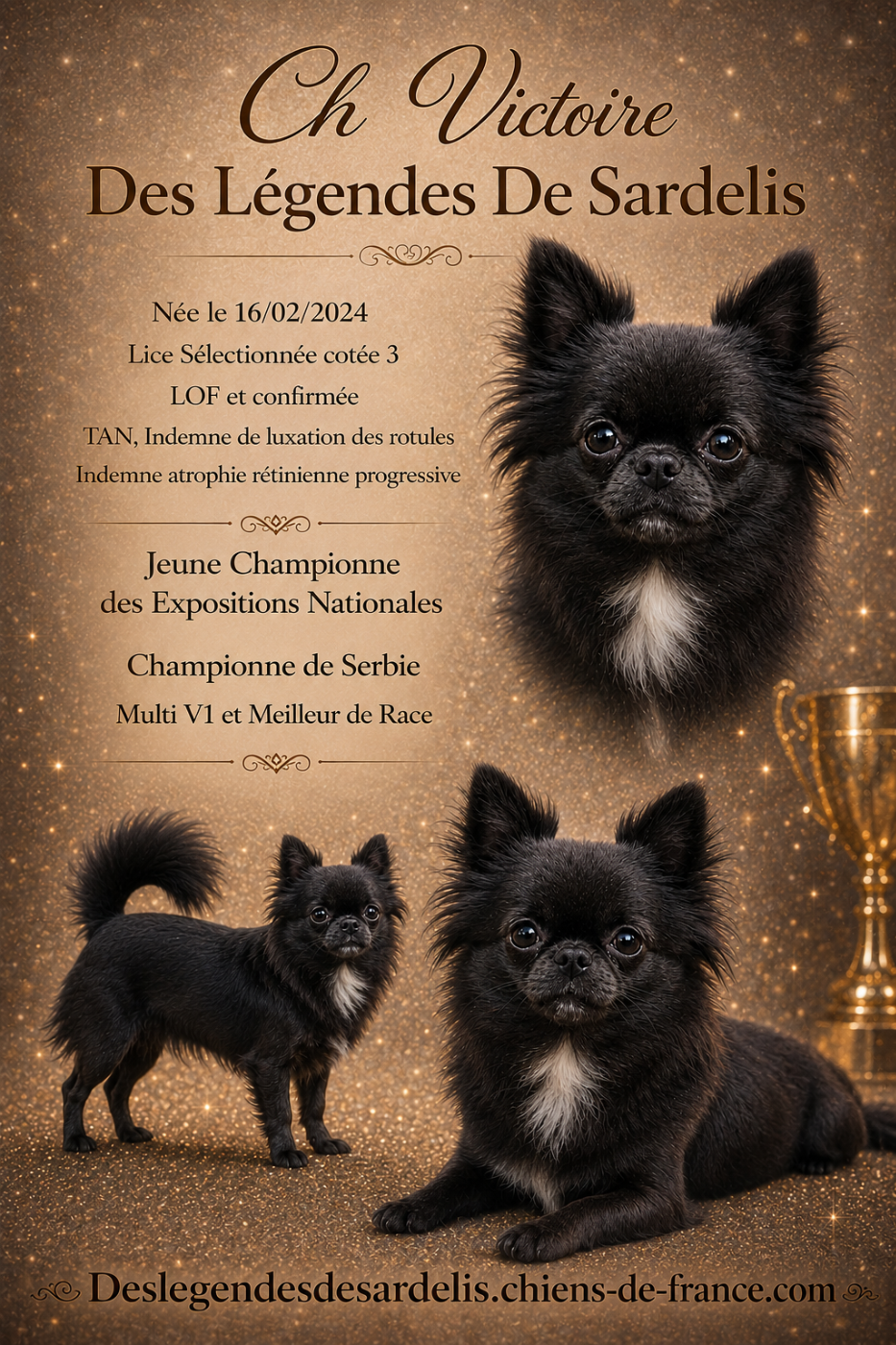 CH. Victoire Des Légendes De Sardelis