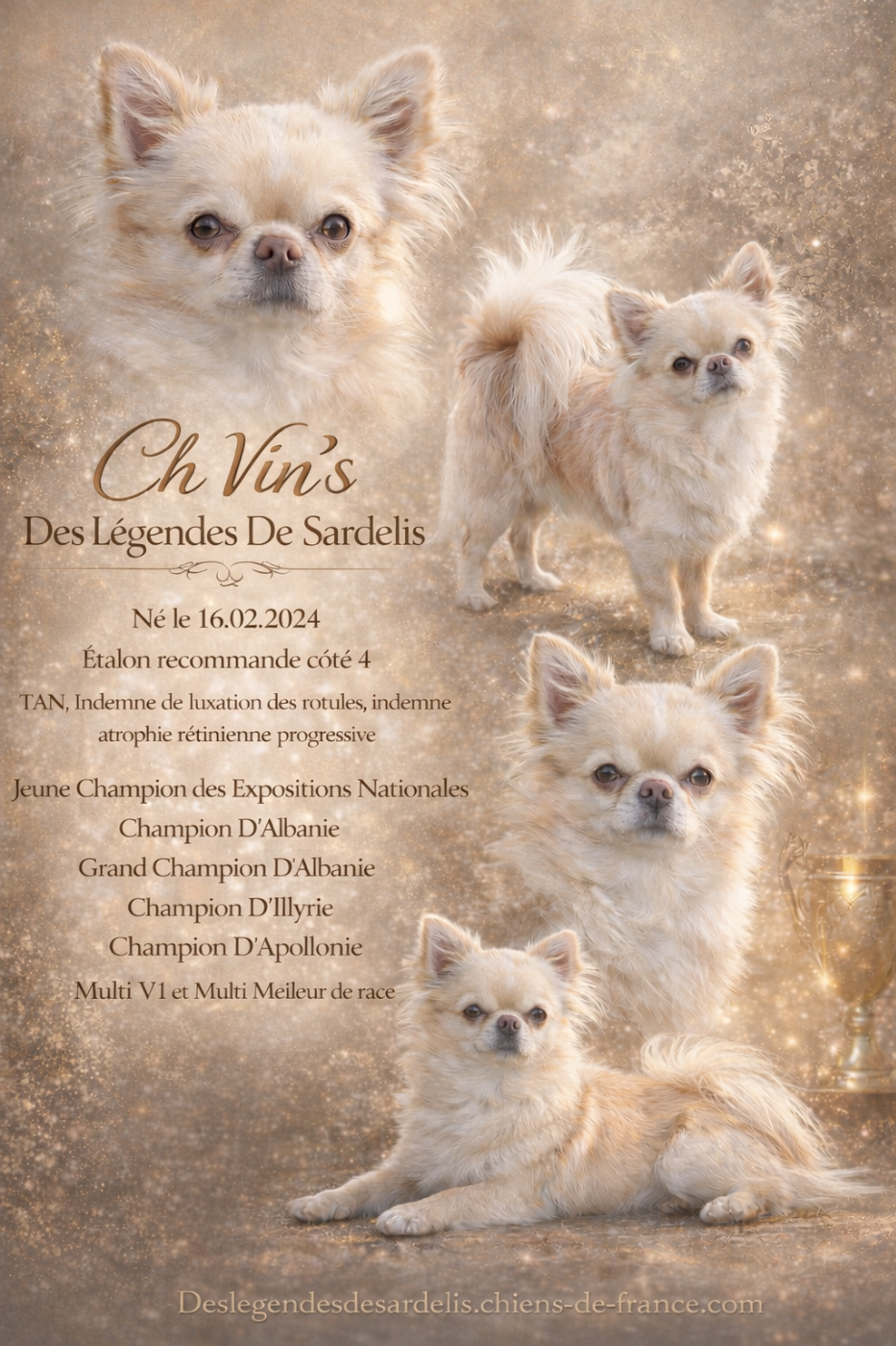 CH. Vin's Des Légendes De Sardelis